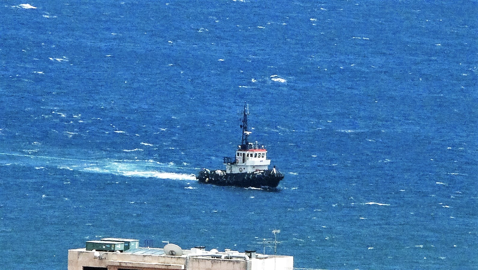 Pulling Power Madeira Island News Blog