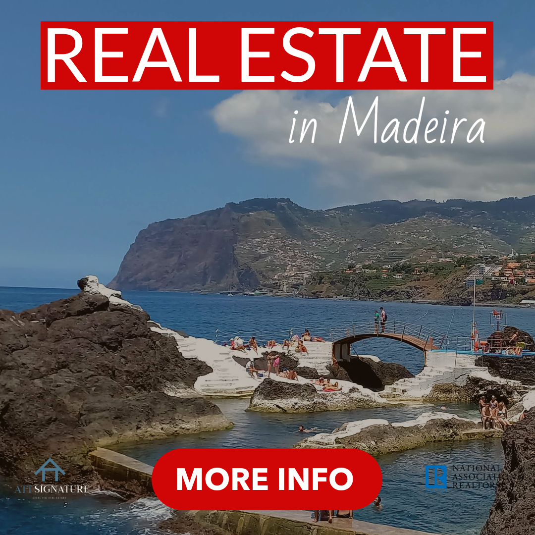 Madeira Island News Blog Madeira News Blog The Best Blog On The