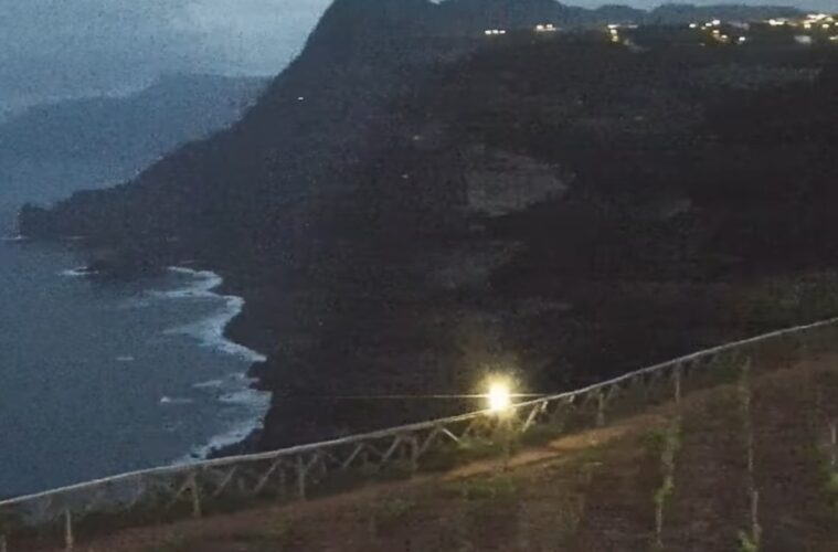 Another New Cam Madeira Island News Blog