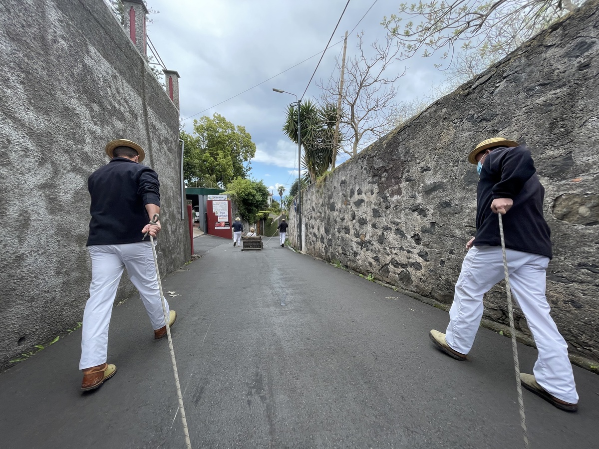 Two tourists Injured in Monte Toboggan Accident Madeira Island News Blog