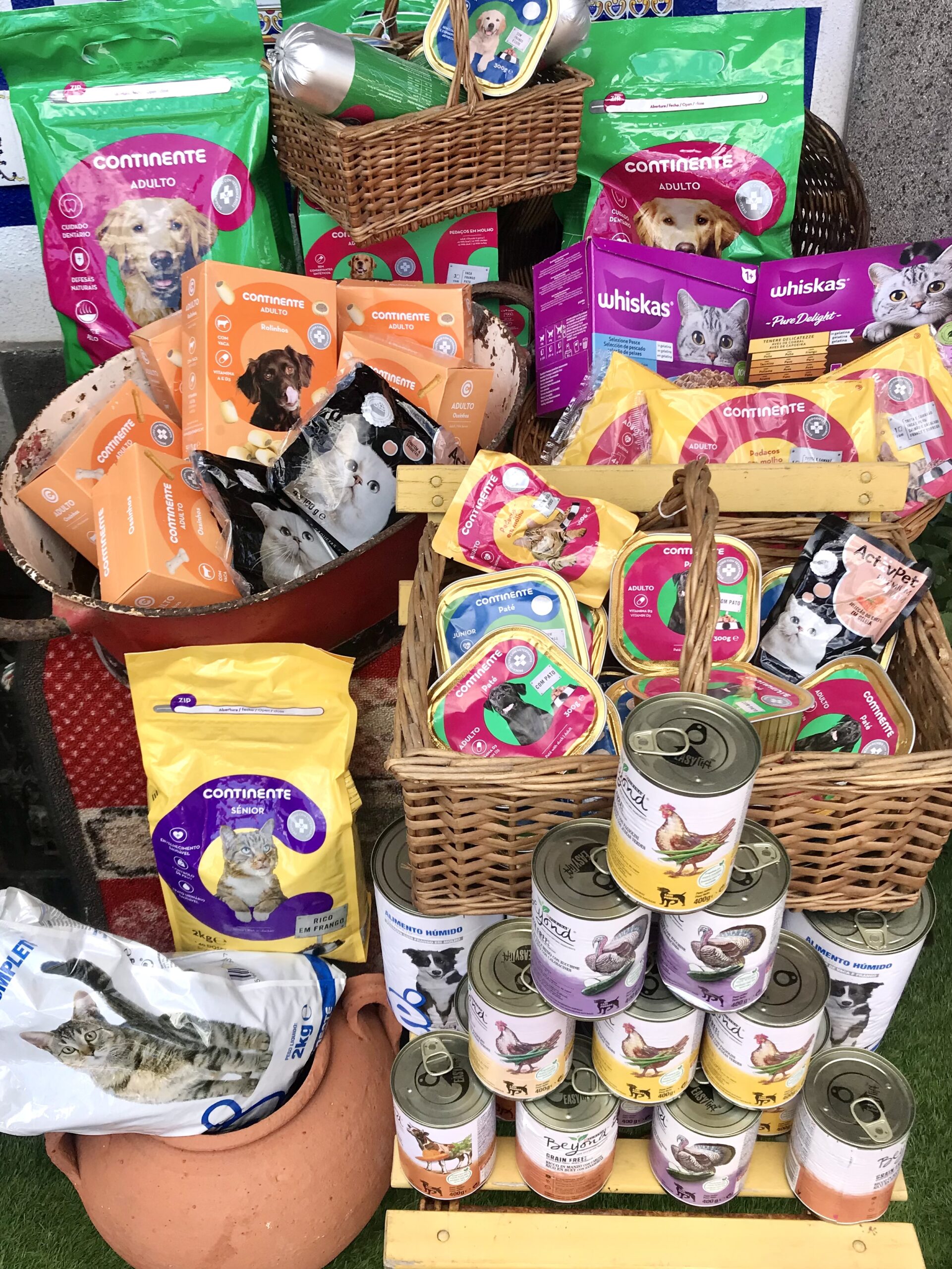 Feeding the Animals on the North of Madeira Madeira Island News Blog