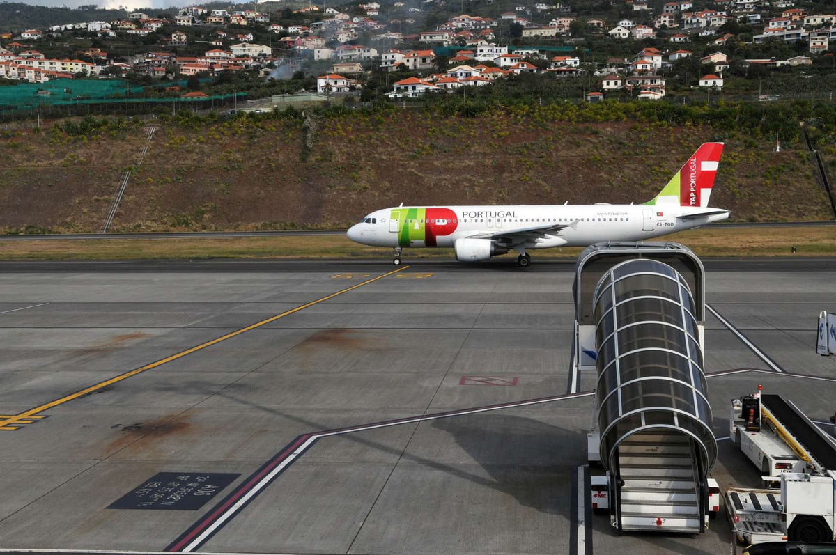 TAP is the best airline in Europe for traveling with pets